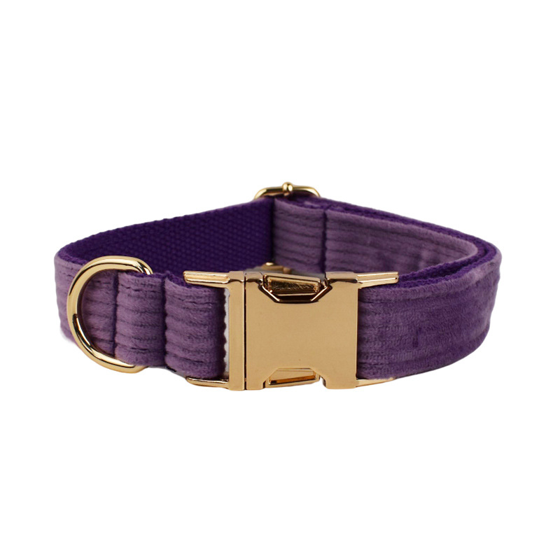 collar Purple corduroy
