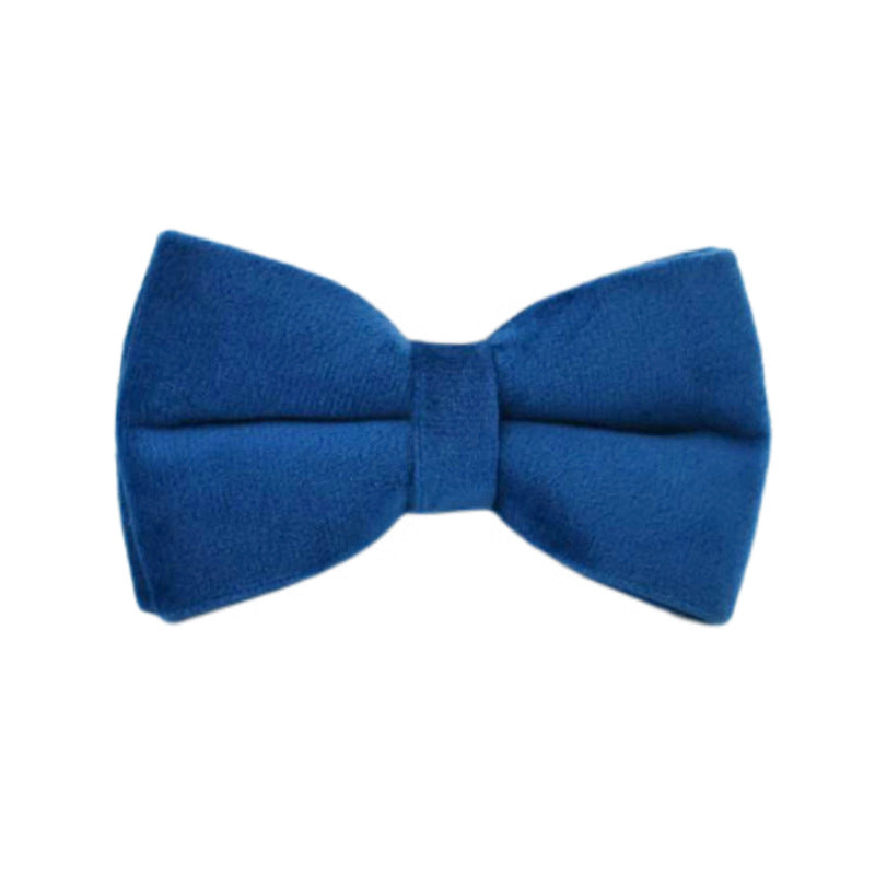 blue velvet pet supplies