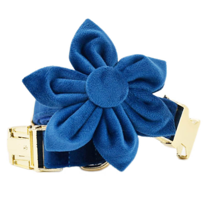 blue velvet pet supplies