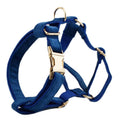 blue velvet pet supplies